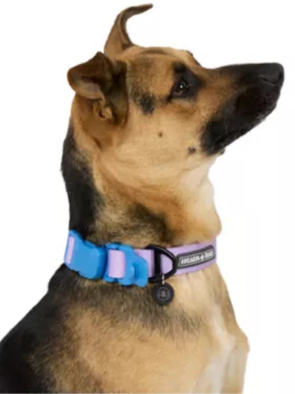 Arcadia Trail Magnetic Clip Collar*